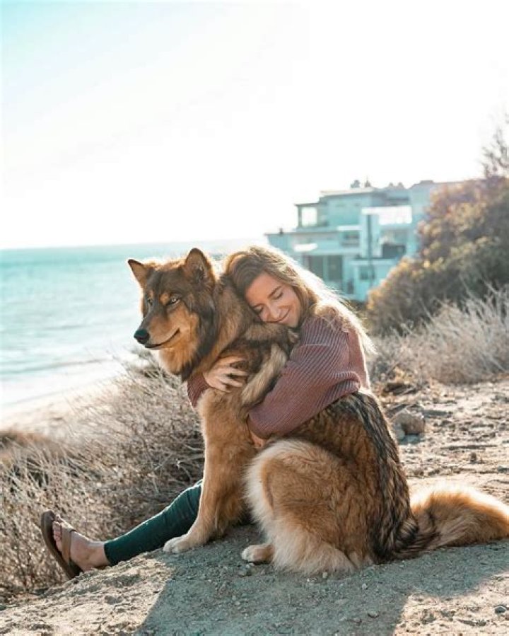 Hero kayaker saves bag of puppies from drowning